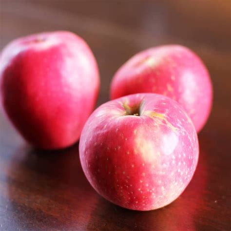 More specifically, apple cider season. 15 of the Best Apples to Eat out of Hand | Honeycrisp ...