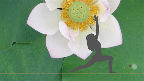 Kundalini Yoga Der Weg Zu Deinem Höchsten Selbst Shakti Mond