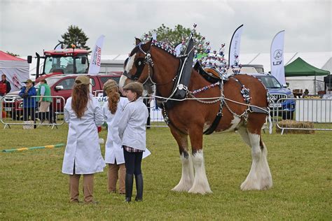 Horses 010 Alyth Agricultural Show 2019 John Mullin Flickr