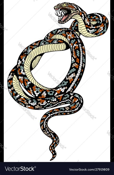Coiled Snake Tattoo Royalty Free Vector Image Vectorstock