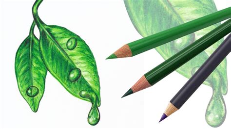 How To Draw Leaves With Colored Pencils Rusticweddingoutfitguestwomen