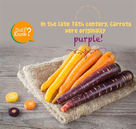 Did You Know This Amazing Fact About Carrots ‪‎veggiefacts‬ ‪‎facts