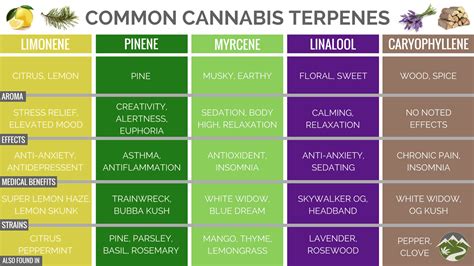 What Are Terpenes And How Do They Affect Your Cannabis Dabbing