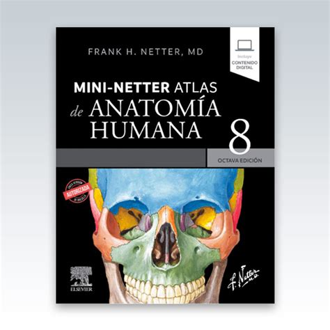 Netter Mini Netter Atlas De Anatomía Humana 8ª Edición 2023