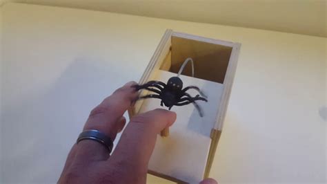 Spider In A Box Prank Youtube