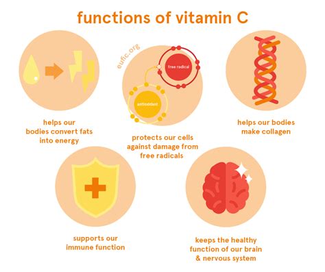 Vitamin C Foods Functions How Much Do You Need More Eufic