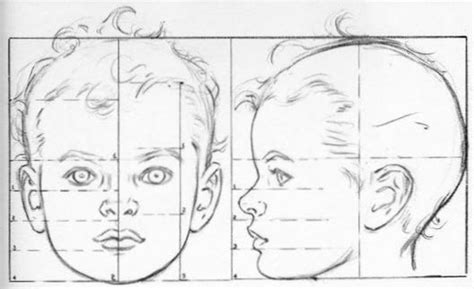 How To Draw Baby And Toddlers Heads In The Correct Proportions