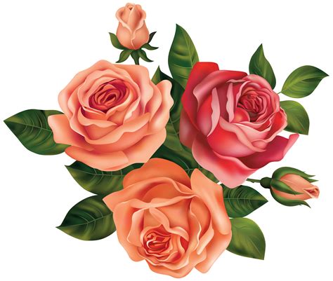 Free Roses Clipart