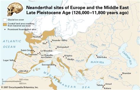 Homo Sapiens Neanderthalensis