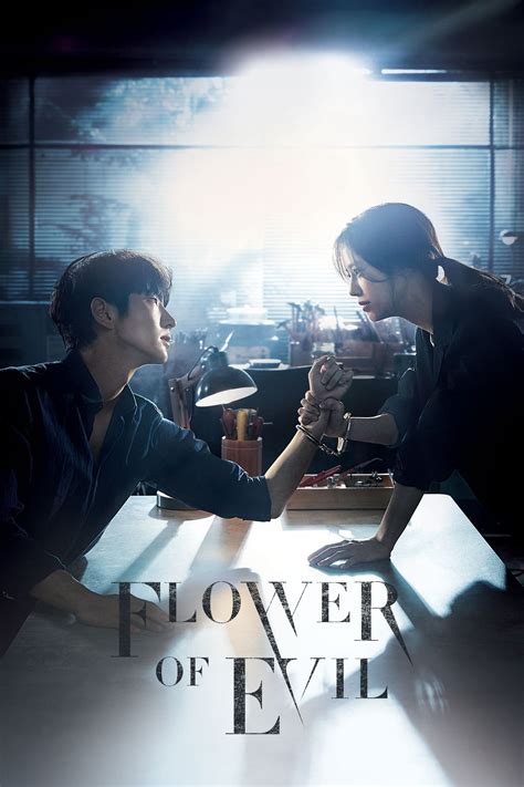 Watch Online Korean Drama Flower Of Evil 2020 Full Episode For Free Now On Kcinemaindo In