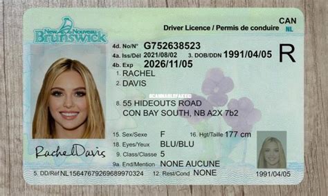 Canada New Brunswick Fake Driver License Buy Fake Id Website