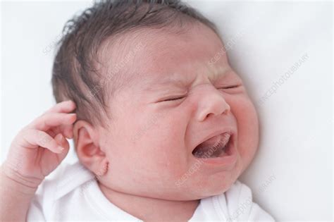 Baby Girl Screaming Stock Image C0541500 Science Photo Library