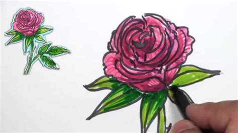 Facebook youtube pin interest instagram. How to Draw a Rose - Simple Red Rose Drawing Lesson | MAT ...