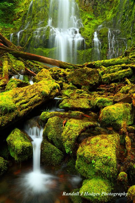 Proxy Falls In The Three Sisters Wilderness In The Willamette Na By