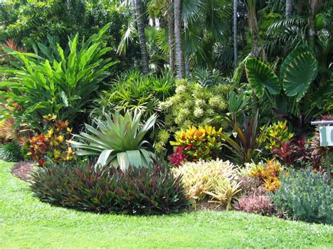 Get latest info on cactus plants, suppliers, manufacturers, wholesalers, traders, wholesale suppliers with cactus plants prices for buying. Blog | Wholesale Plant Nursery | Shane Tinker Enterprises Inc.