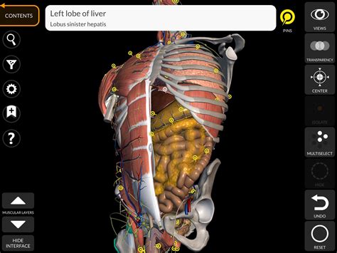 Anatomy 3d Atlas Apk For Android Download