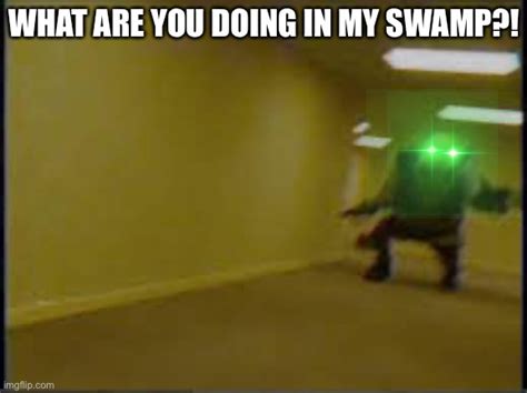 Pov You Entered The Swamp Imgflip