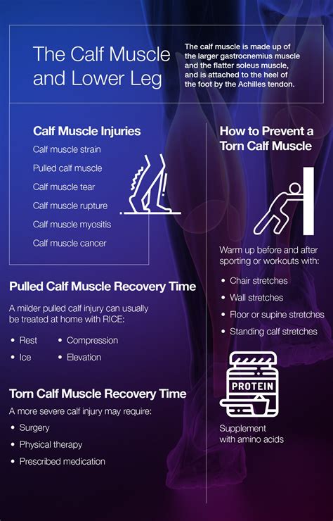 Pulled Torn Calf Muscle Recovery Time How To Heal Your Lower Leg