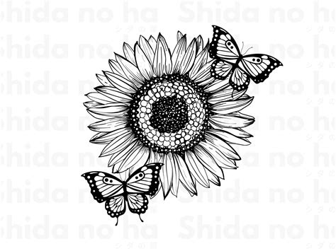 Sunflower Butterfly Svg Sunflowers Svg Butterfly Svg Etsy