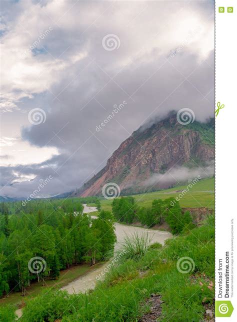 Altai Mountain River Stock Photo Image Of Summer Perspective 73597516