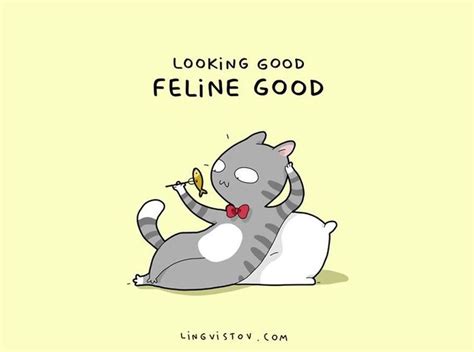 Right Meow Is A Great Time For Some Good Old Fashioned Cat Puns Cat