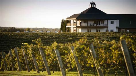 Beautiful Wineries And Vineyards In North Carolina Visit North