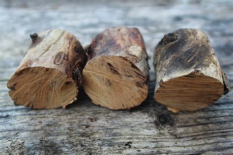 Types Of Smoking Wood Countrywoodsmoke Uk Bbq