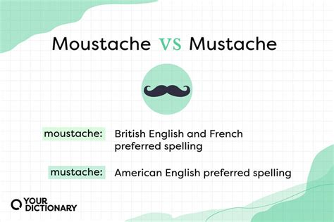 Moustache Vs Mustache Which Is Correct Yourdictionary