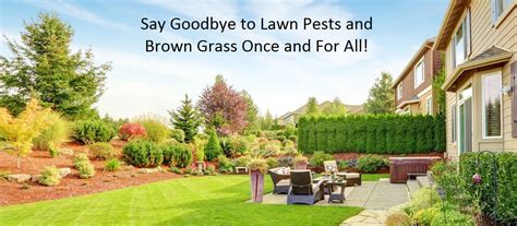 Cook's insect & lawn control. Lawn Weed and Insect Control Services | Safe Earth Pest ...