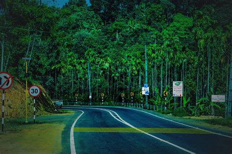 Free Stock Photo Of Greenery Kerala Munnar