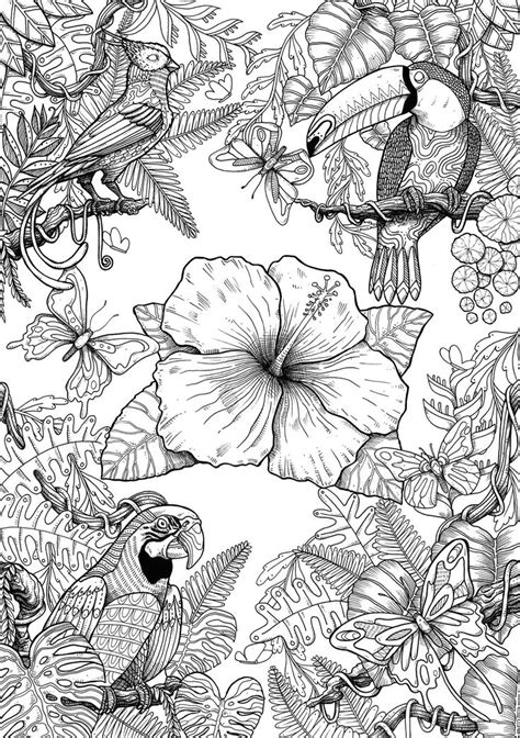 Birds On Behance In 2020 Detailed Coloring Pages Bird Coloring Pages