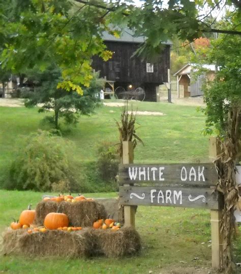 White Oak Farm
