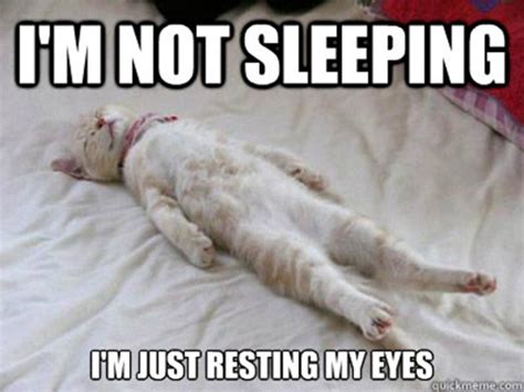 41 Very Funny Sleeping Memes Graphics Pictures And Images Picsmine