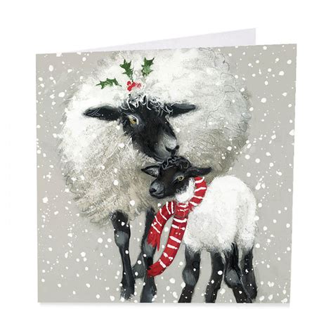 Sheep Christmas Cards Dressed For Winter Pack Of 6