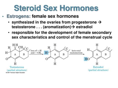 Ppt Steroid Hormones Powerpoint Presentation Free Download Id5620268