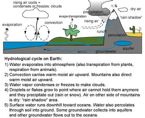 Phases Of Water Cycle