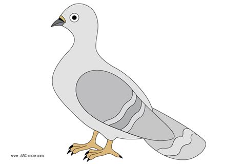 Pigeons Clipart 20 Free Cliparts Download Images On Clipground 2023