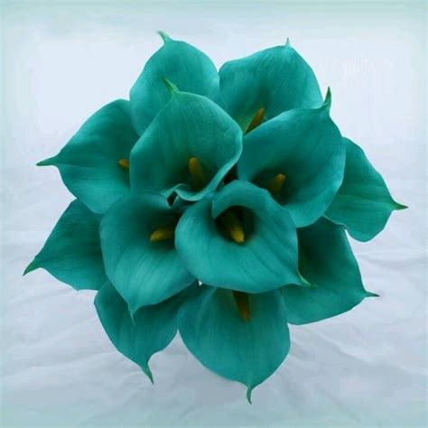 Teal Flowers Wedding Ideas Pinterest Teal Flowers Wedding And