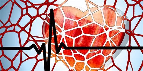 Autoimmune Diseases Can Be A Strong Predictor Of Heart Disease