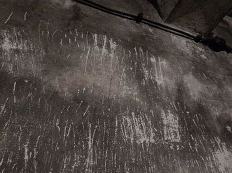 Scratch Marks Inside Gas Chambers Picture Of Auschwitz Birkenau State