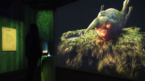 Fantastic Beasts Take Over Londons Natural History Museum Cgtn