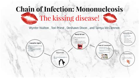 Chain Of Infection Mononucleosis By Wynter Walton On Prezi Next