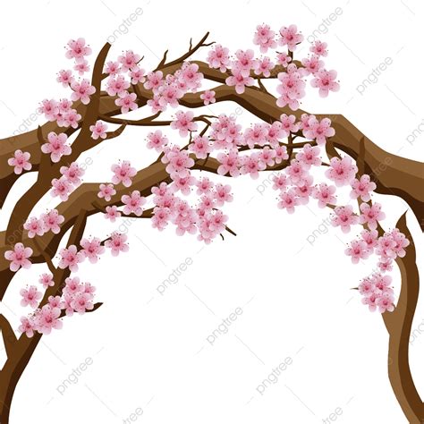 Gambar Campuran Cabang Bunga Sakura Cabang Sakura Campuran Cabang
