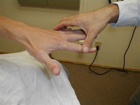 Innervations Of The Hand