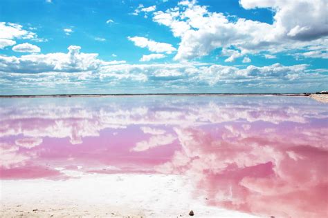 Las Coloradas The Wonderful Pink Lakes Of Mexico Gt