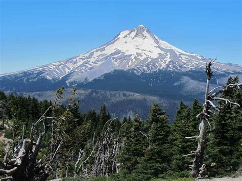 Best Mount Hood Hikes Lookout Mountain Author Paul Gerald