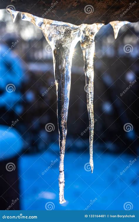 Icicles In Winter Close Up Stock Image Image Of Background 133164481