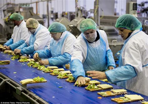 Greencore Factorys Migrant Workers Churn Out Three Million Sandwiches