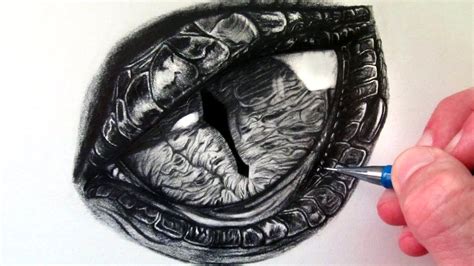 See more ideas about dragon, dragon art, fantasy dragon. How to Draw a Dragon Eye | Dragon eye drawing, Dragon ...