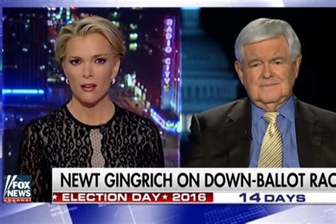Newt Gingrich Says Megyn Kelly Fascinated With Sex For Covering Trump